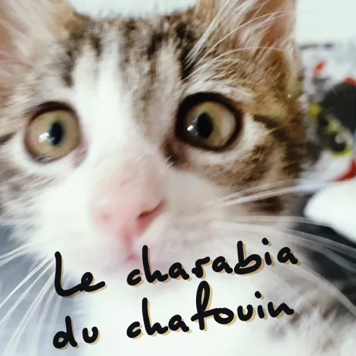 pochette single Le charabia du chafoin par Hardu